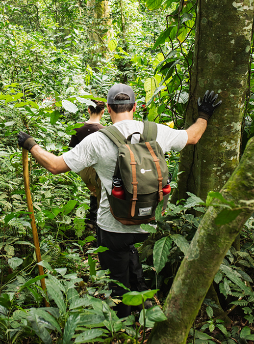 Expert-led gorilla trekking in Bwindi, Volcanoes & Virunga National Parks. Tailor-made Uganda, Rwanda & Congo safaris with permits, lodges & transport included