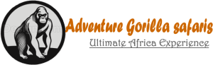 A gorilla safari with Adventure Gorilla Safaris need not begin and end in the forest. We excel at combining gorilla trekking with the full breadth of East Africa’s extraordinary wildlife and cultural offerings, creating multi-destination safari itineraries that showcase the best of the region.