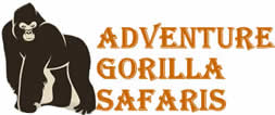 Adventure Gorilla Safaris