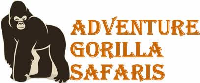 Adventure Gorilla Safaris