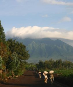 Visit Volcanoes National Park, Rwanda — home to mountain gorillas. Permit prices, trekking tips, top lodges & activities. Book your gorilla safari today.