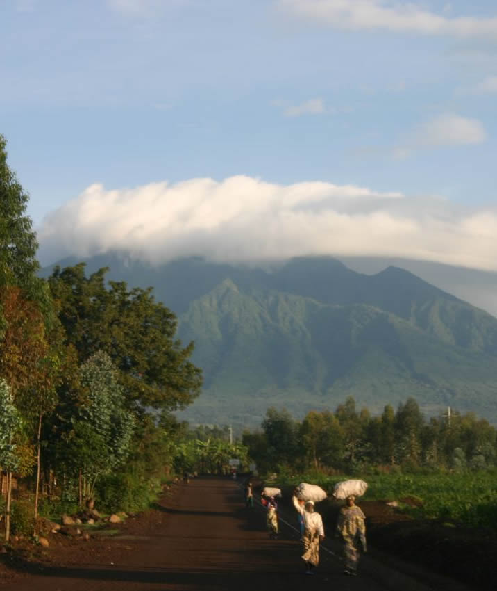 Visit Volcanoes National Park, Rwanda — home to mountain gorillas. Permit prices, trekking tips, top lodges & activities. Book your gorilla safari today.