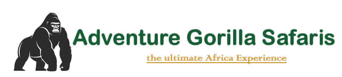 Adventure Gorilla Safaris