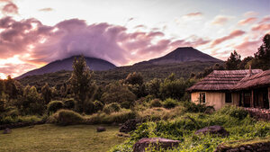 Trek mountain gorillas in Volcanoes National Park, then conquer Mount Bisoke's crater lake on this 4-day Rwanda adventure. Tailor-made safaris.