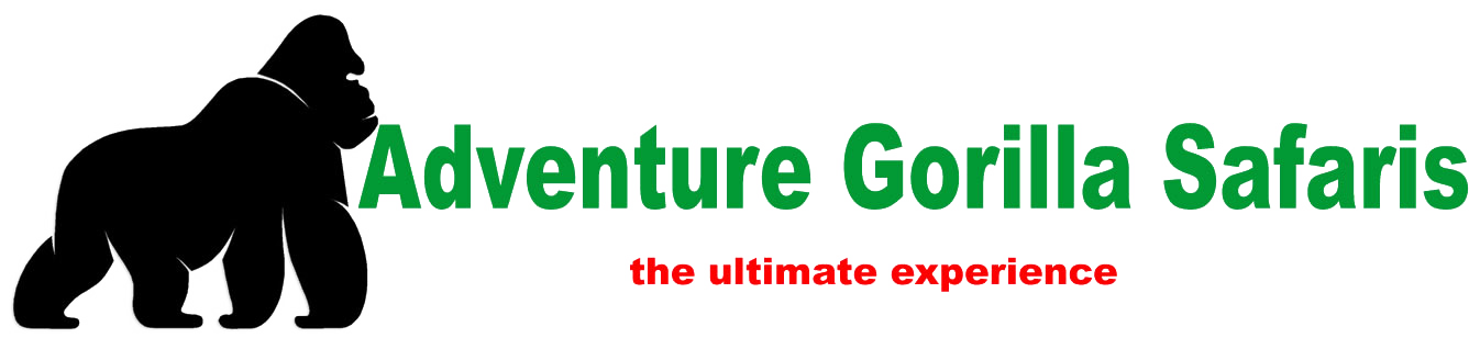 Adventure Gorilla Safaris