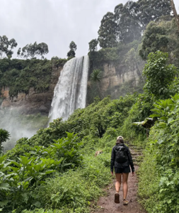 Discover Sipi Falls near Mount Elgon National Park — waterfall hikes, abseiling, coffee tours, and trekking routes up Uganda's highland peak