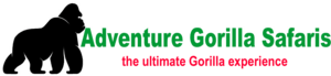 Combine Big Five game drives in Queen Elizabeth, Murchison Falls & Akagera with mountain gorilla trekking. Tailor-made Uganda & Rwanda safaris