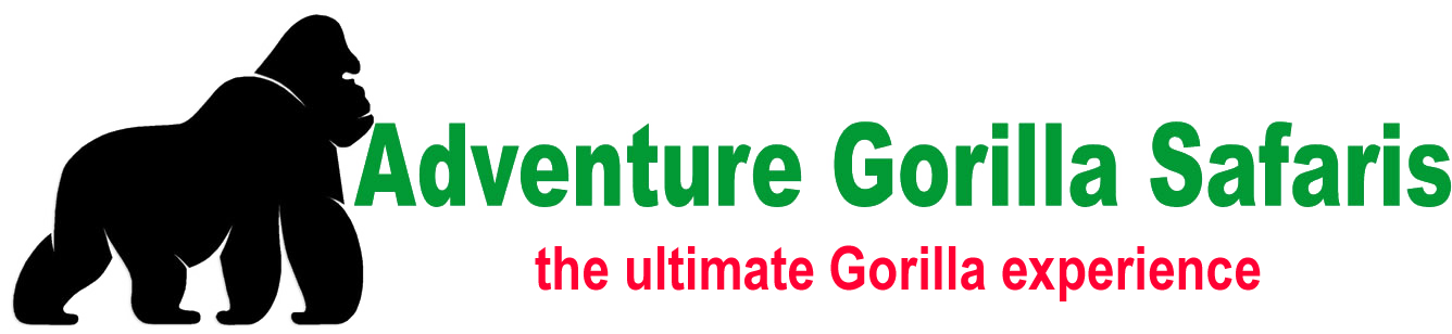 Adventure Gorilla Safaris