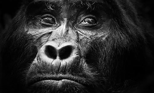 3 Days Budget Uganda