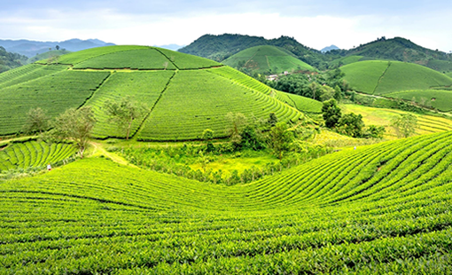 9 Days Rwanda & Uganda