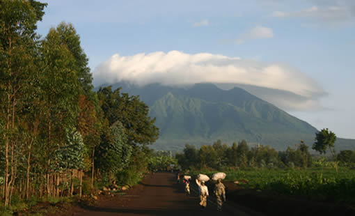 16 Days Rwanda, Uganda