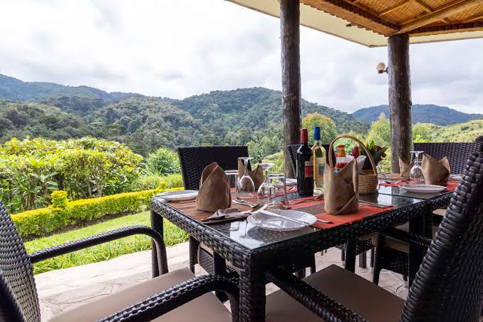 A 3-day primate safari combining gorilla trekking in Bwindi with chimp tracking near Queen Elizabeth NP. Permits, transport & lodging included — from $1,625.